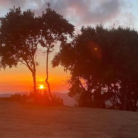 Сasa de vacaciones Casa Albini Aglientu